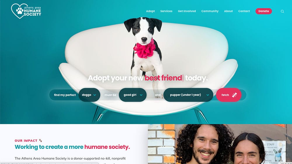 Engenius Wins W3 Award for Athens Humane Society’s Website