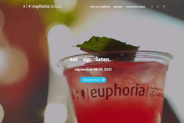 euphoria web design greenville sc