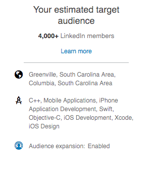 An example of LinkedIn ad targeting focusing on app developers